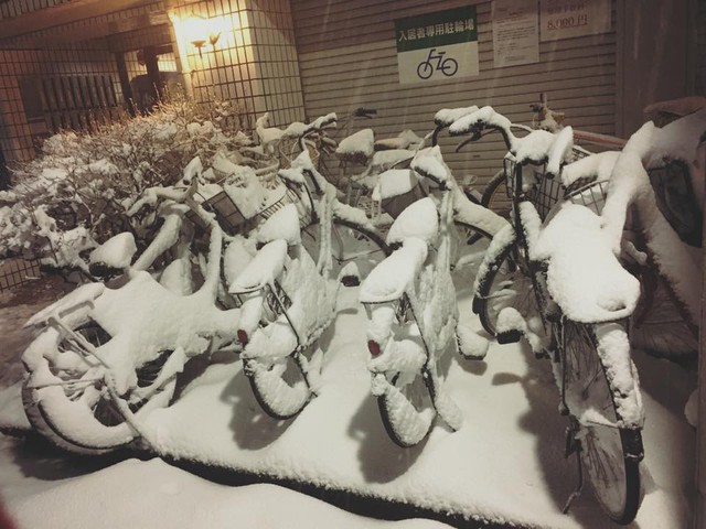 Những hình ảnh rùng mình trong bão tuyết kỷ lục tại Tokyo: Hàng trăm chuyến bay bị hủy, xe đạp đóng băng ngoài trời - Ảnh 5.