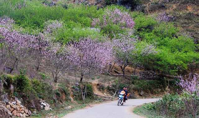 Nếu không ăn Tết ở nhà, đây là 10 điểm du lịch hấp dẫn nhất ở Việt Nam năm 2018 bạn không nên bỏ qua - Ảnh 5.