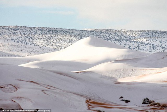 
Kỳ vĩ cảnh tuyết phủ sa mạc Sahara. Ảnh: Geoff Robinson Photography
