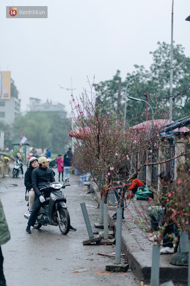 Chùm ảnh: Hoa đào đã nở đỏ rực trên những tuyến phố Hà Nội, Tết đã đến rất gần rồi! - Ảnh 11.
