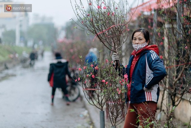 Chùm ảnh: Hoa đào đã nở đỏ rực trên những tuyến phố Hà Nội, Tết đã đến rất gần rồi! - Ảnh 12.