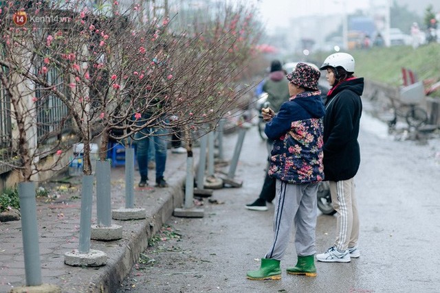 Chùm ảnh: Hoa đào đã nở đỏ rực trên những tuyến phố Hà Nội, Tết đã đến rất gần rồi! - Ảnh 16.