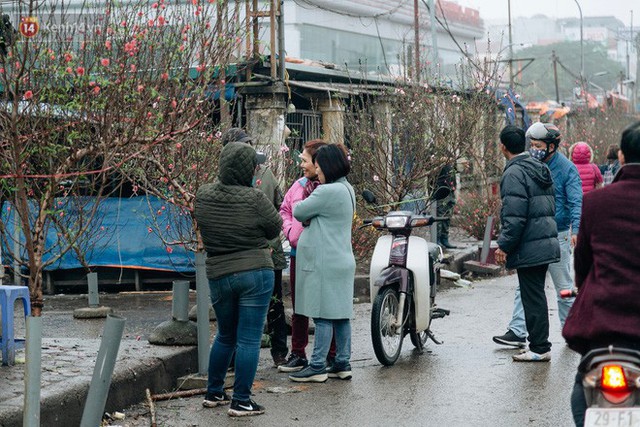 Chùm ảnh: Hoa đào đã nở đỏ rực trên những tuyến phố Hà Nội, Tết đã đến rất gần rồi! - Ảnh 19.