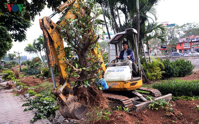 Ngày đêm chuyển cây, xén giải phân cách mở rộng vành đai 2, 3 ở Hà Nội - Ảnh 5.