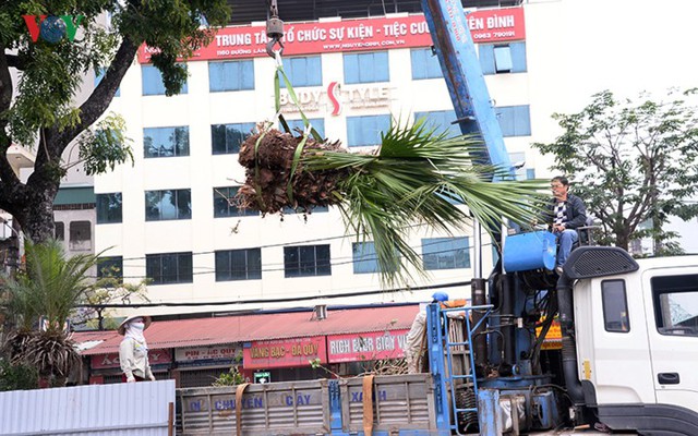 Ngày đêm chuyển cây, xén giải phân cách mở rộng vành đai 2, 3 ở Hà Nội - Ảnh 9.