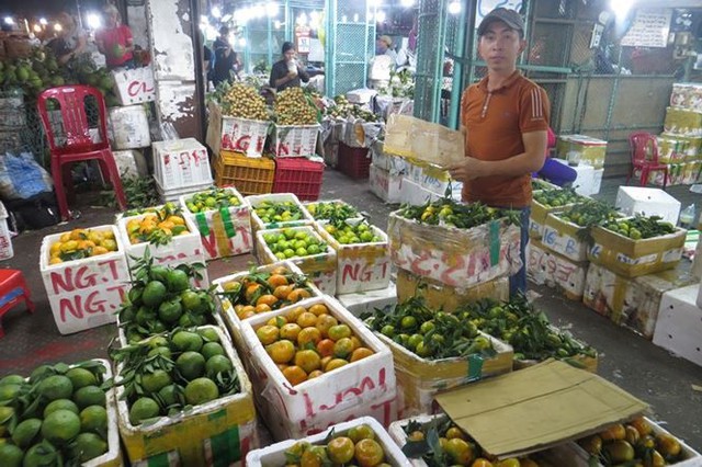 Cam Canh Trung Quốc đầy chợ đầu mối Sài Gòn - Ảnh 8.