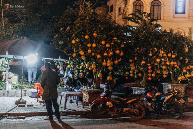 Sợ bị trộm giữa đêm, người dân Hà Nội dựng lều, trùm chăn canh đào quất trên phố - Ảnh 9.