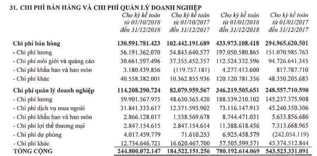 Đất Xanh Group báo lãi trên 1.700 tỷ đồng trong năm 2018, vượt 61% kế hoạch năm - Ảnh 4.