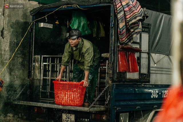 Ảnh, clip: Chợ cá lớn nhất Hà Nội nhộn nhịp từ tờ mờ sáng ngày tiễn ông Công ông Táo về trời - Ảnh 3.