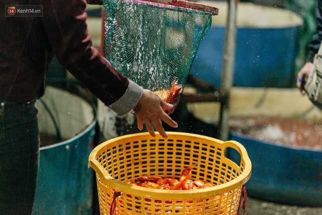 Ảnh, clip: Chợ cá lớn nhất Hà Nội nhộn nhịp từ tờ mờ sáng ngày tiễn ông Công ông Táo về trời - Ảnh 19.