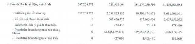 Vneco ghi nhận gần 170 tỷ đồng từ bán con, LNST cả năm vẫn chỉ đạt 83 tỷ đồng - Ảnh 2.