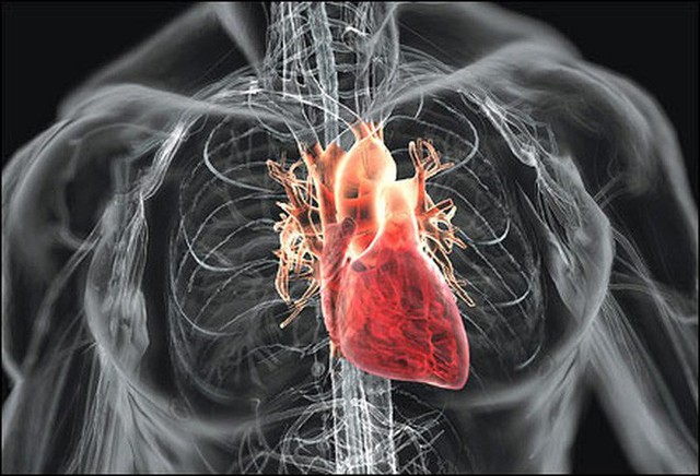 Thạc sĩ 25 tuổi bị nhồi máu cơ tim tử vong: BS khuyên điều cần làm khi có người đau tim - Ảnh 2.