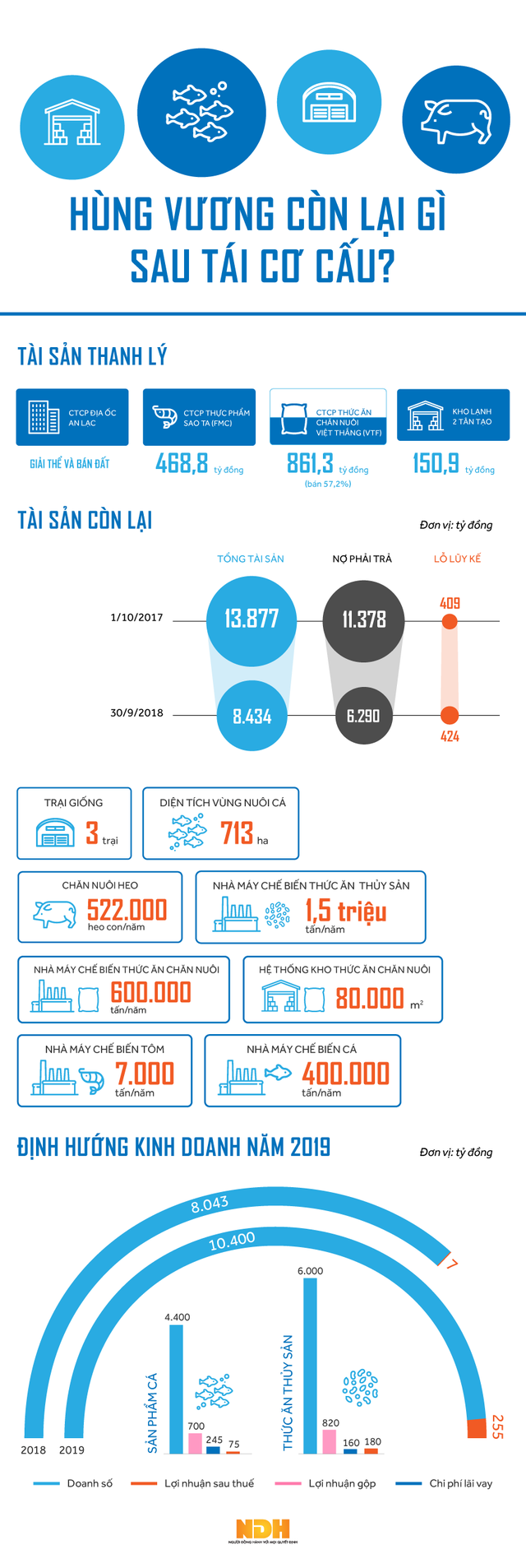 [Infographic] Hùng Vương còn lại gì sau tái cơ cấu? - Ảnh 1.