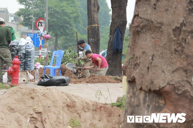 Ảnh: Công nhân gấp rút di dời hơn 400 cây xanh trên phố Thủ đô trước Tết Nguyên đán - Ảnh 1.