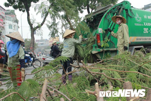 Ảnh: Công nhân gấp rút di dời hơn 400 cây xanh trên phố Thủ đô trước Tết Nguyên đán - Ảnh 9.