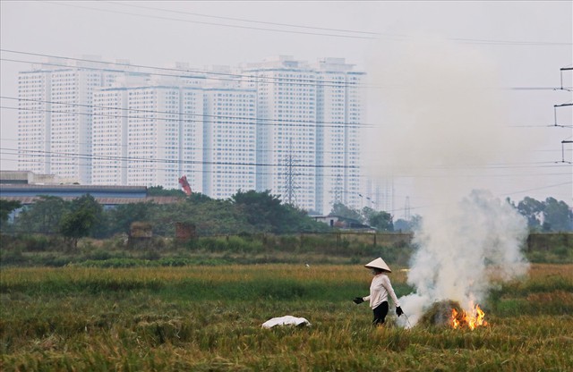 Khói đốt rơm rạ đang bủa vây ngoại thành Hà Nội - Ảnh 11.