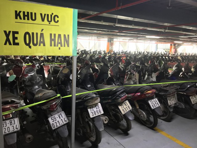 Hàng trăm xe máy nằm vạ nhiều năm ở sân bay Tân Sơn Nhất - Ảnh 2.