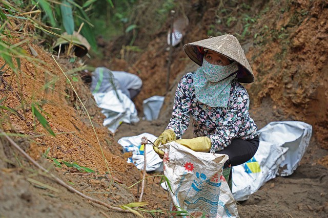 Hoà Bình: Cty nước Sông Đà chôn lấp cát lẫn dầu thải không đúng quy định - Ảnh 2.