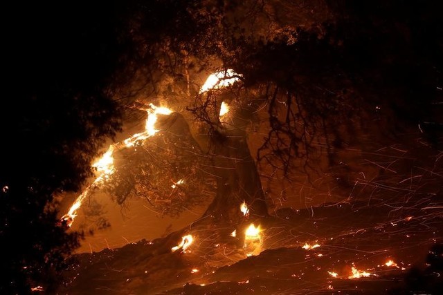 Hàng trăm căn nhà ở California bị thiêu rụi do cháy rừng - Ảnh 1.