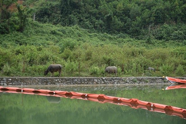 Tiếp tục hút bùn kênh dẫn nước sông Đà sau gần 20 ngày vụ đổ trộm dầu thải - Ảnh 10.