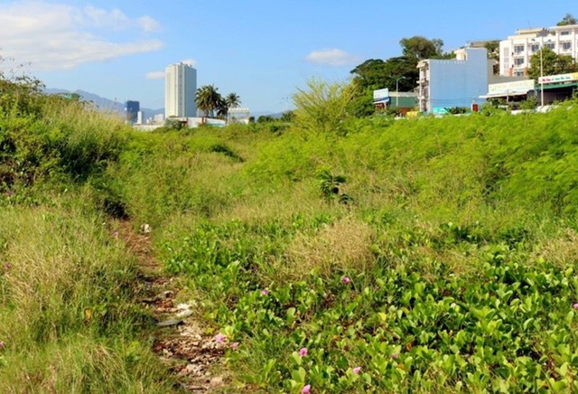 Khánh Hòa thu hồi đất dự án ‘lấp biển’ 30 triệu USD để làm công viên - Ảnh 2.