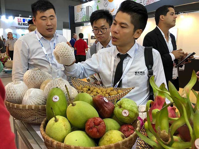 Trung Quốc siết hàng nhập khẩu, nông sản Việt lao dốc - Ảnh 1.