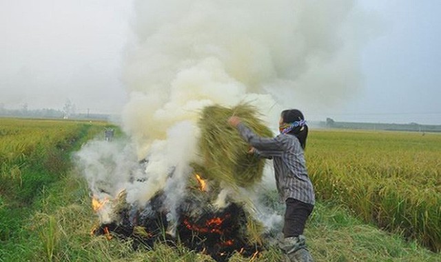  Hà Nội: Mỗi ngày đốt 528 tấn than tổ ong, người dân đối mặt với lượng khí độc khổng lồ - Ảnh 2.
