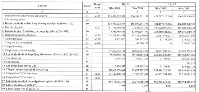 Cảng Đình Vũ (DVP): 9 tháng lãi trước thuế 239 tỷ đồng, hoàn thành xấp xỉ 92% kế hoạch năm - Ảnh 1.