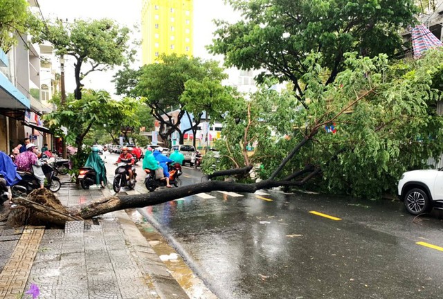 Đà Nẵng: Hàng loạt cây xanh ngã chắn đường, giao thông hỗn loạ - Ảnh 2.