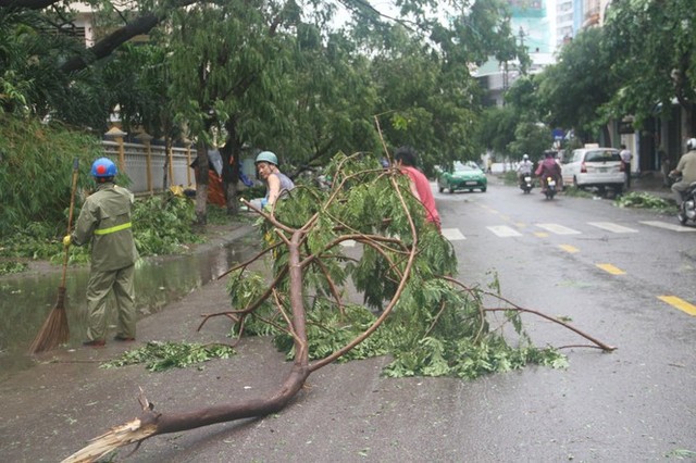 Sau bão số 5, cây cối đổ ngổn ngang, bãi biển Quy Nhơn ngập ngụa rác - Ảnh 9.