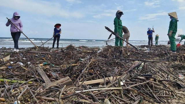  Cận cảnh bãi biển Vũng Tàu bị cả trăm tấn rác vây kín!  - Ảnh 7.
