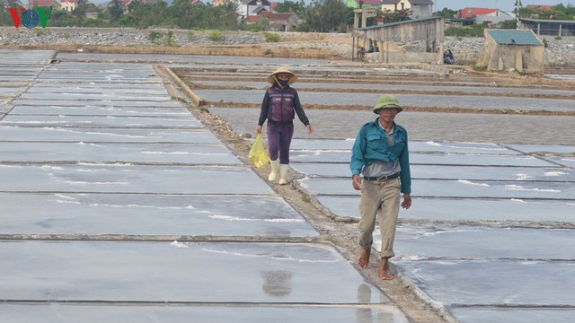 Diêm dân “đắng lòng” vì hạt muối - Ảnh 1.