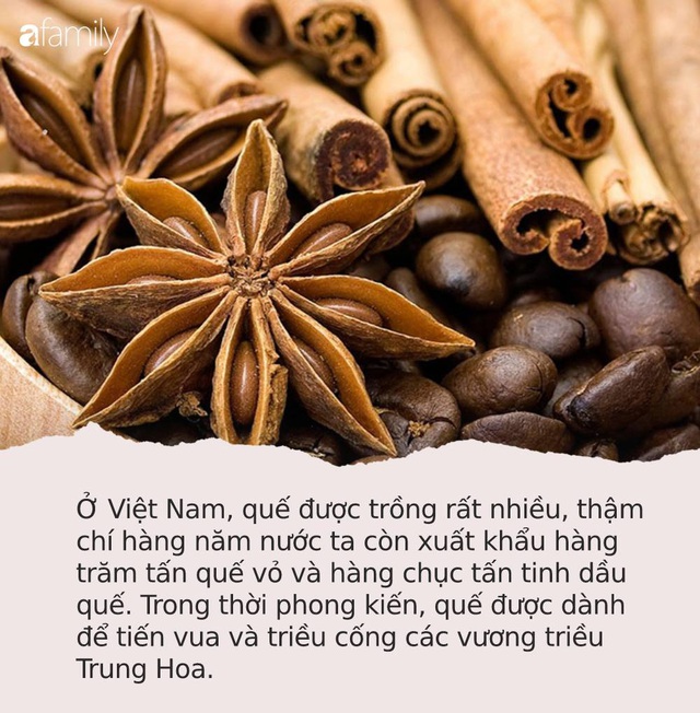 Tốt ngang nhụy hoa nghệ tây, ở Việt Nam có loại gia vị được mệnh danh là TỨ BẢO của Đông y, trị bệnh hay dưỡng nhan đều xuất sắc - Ảnh 1.