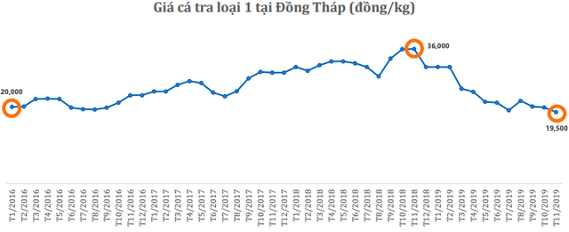 Navico (ANV): Giá cá tra giảm mạnh, giá trị xuất khẩu tháng 10 gần như đi ngang với 16 triệu USD - Ảnh 2.