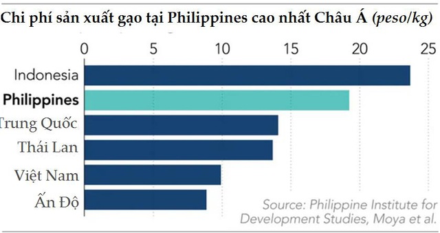 Sau nhiều tranh cãi, Philippines vẫn sẽ tiếp tục là động lực của ngành xuất khẩu gạo Châu Á  - Ảnh 2.