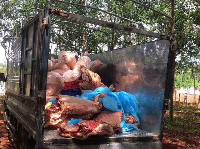 Hơn 1,5 tấn thịt dính tả lợn Châu Phi giấu trong kho lạnh - Ảnh 3.