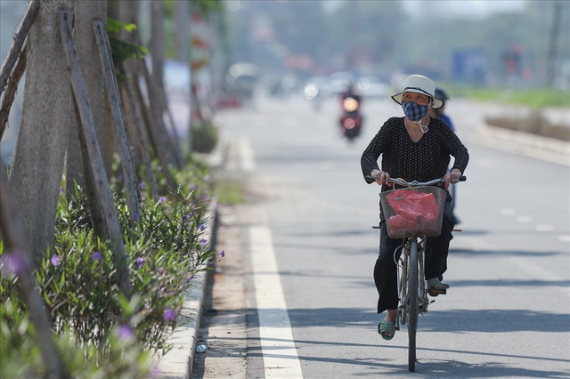 Cận cảnh hàng cây hoa sữa đang độ nở trên con đường mới mở của Thủ đô - Ảnh 5.