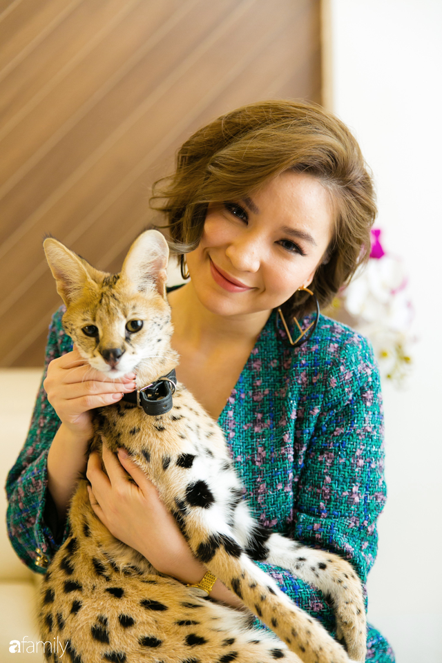 Trang Hà - Cô gái mang những chú mèo trị giá hàng tỷ đồng về Việt Nam và tiết lộ trào lưu nuôi thú cưng mới của giới đại gia và siêu giàu tại Sài Gòn - Ảnh 17.