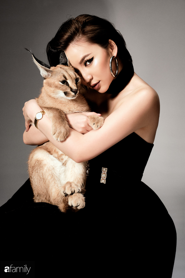Trang Hà - Cô gái mang những chú mèo trị giá hàng tỷ đồng về Việt Nam và tiết lộ trào lưu nuôi thú cưng mới của giới đại gia và siêu giàu tại Sài Gòn - Ảnh 31.