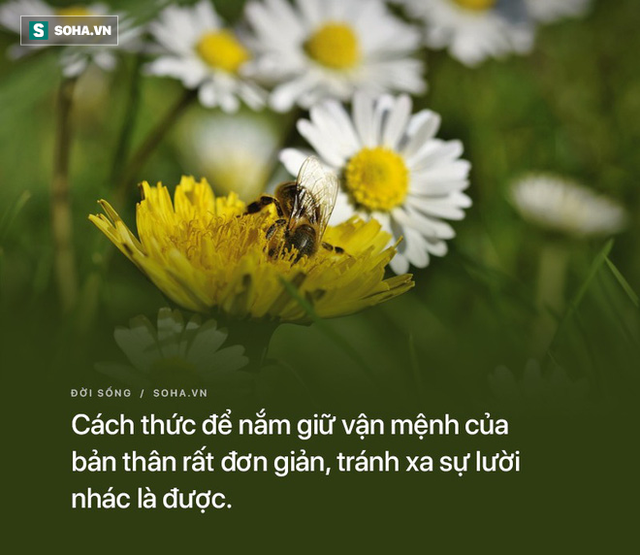 10 đạo lý thâm thúy giúp chúng ta hưởng lợi suốt đời: Đáng ngẫm và chia sẻ! - Ảnh 2.