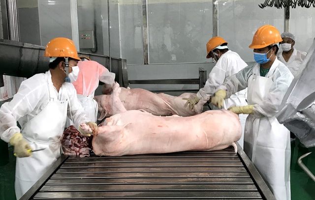 Bổ sung nửa triệu tấn thực phẩm, giá lợn vẫn đắt đỏ nhất lịch sử - Ảnh 1.