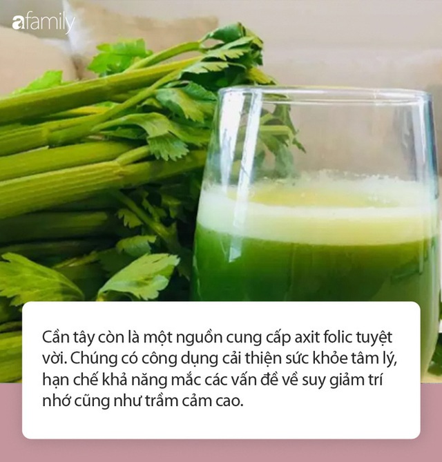 Ăn rau cần tây giúp cơ thể nhận được vô vàn những lợi ích này nhưng ít ai biết - Ảnh 2.