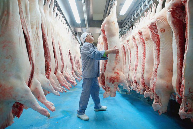 Chiến lược chăn nuôi đến năm 2030: Duy trì đàn lợn 29-30 triệu con - Ảnh 1.