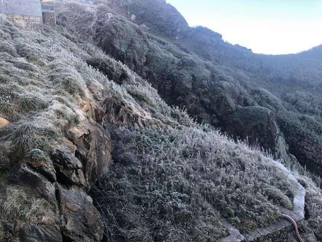 Fansipan hóa núi tuyết, cây cỏ đông cứng trong âm 8 độ - Ảnh 9.