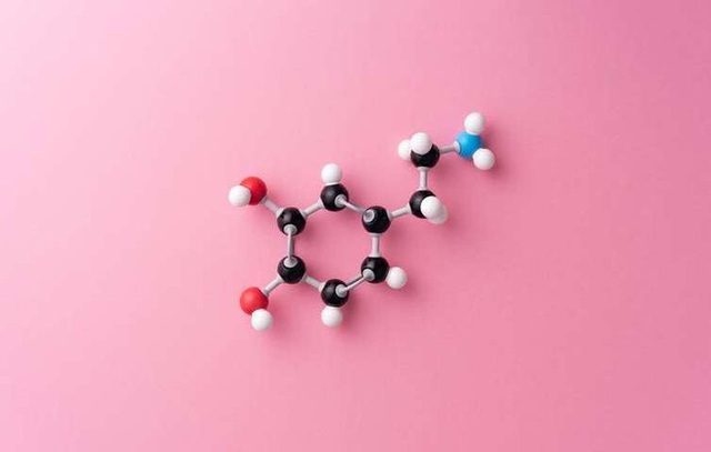 Nhịn dopamine: Trào lưu mới nổi ở Thung lũng Silicon dưới góc nhìn của giáo sư tâm lý học - Ảnh 1.