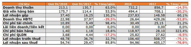 Lãi ròng 2018 giảm 76%, QCG nợ bà Nguyễn Thị Như Loan hơn 308 tỷ đồng - Ảnh 1.