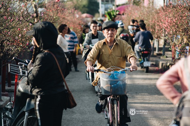 Chùm ảnh: Hà Nội 27 Tết đẹp dịu dàng, mộc mạc và ấp áp trong nắng Xuân sớm - Ảnh 1.