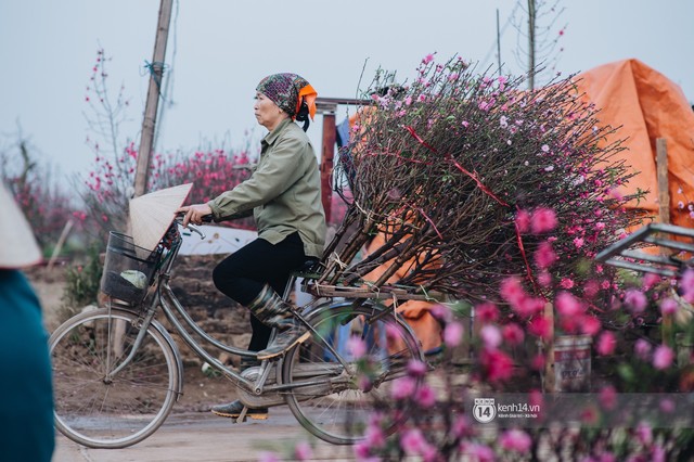 Chùm ảnh: Hà Nội 27 Tết đẹp dịu dàng, mộc mạc và ấp áp trong nắng Xuân sớm - Ảnh 14.