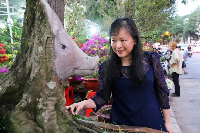 Cận cảnh cây khế đầu heo có giá nửa tỷ đồng được bày bán thu hút người dân Sài Gòn - Ảnh 15.