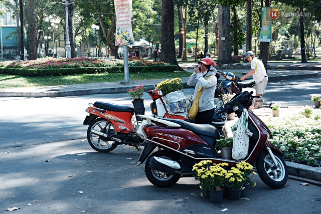 Hội hoa Xuân kết thúc, người dân Sài Gòn hào hứng xin hoa miễn phí về chưng cho đỡ uổng phí - Ảnh 4.